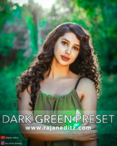 Lightroom dark green presets