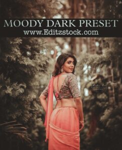 Moody Dark Brown Preset Download Free 2022