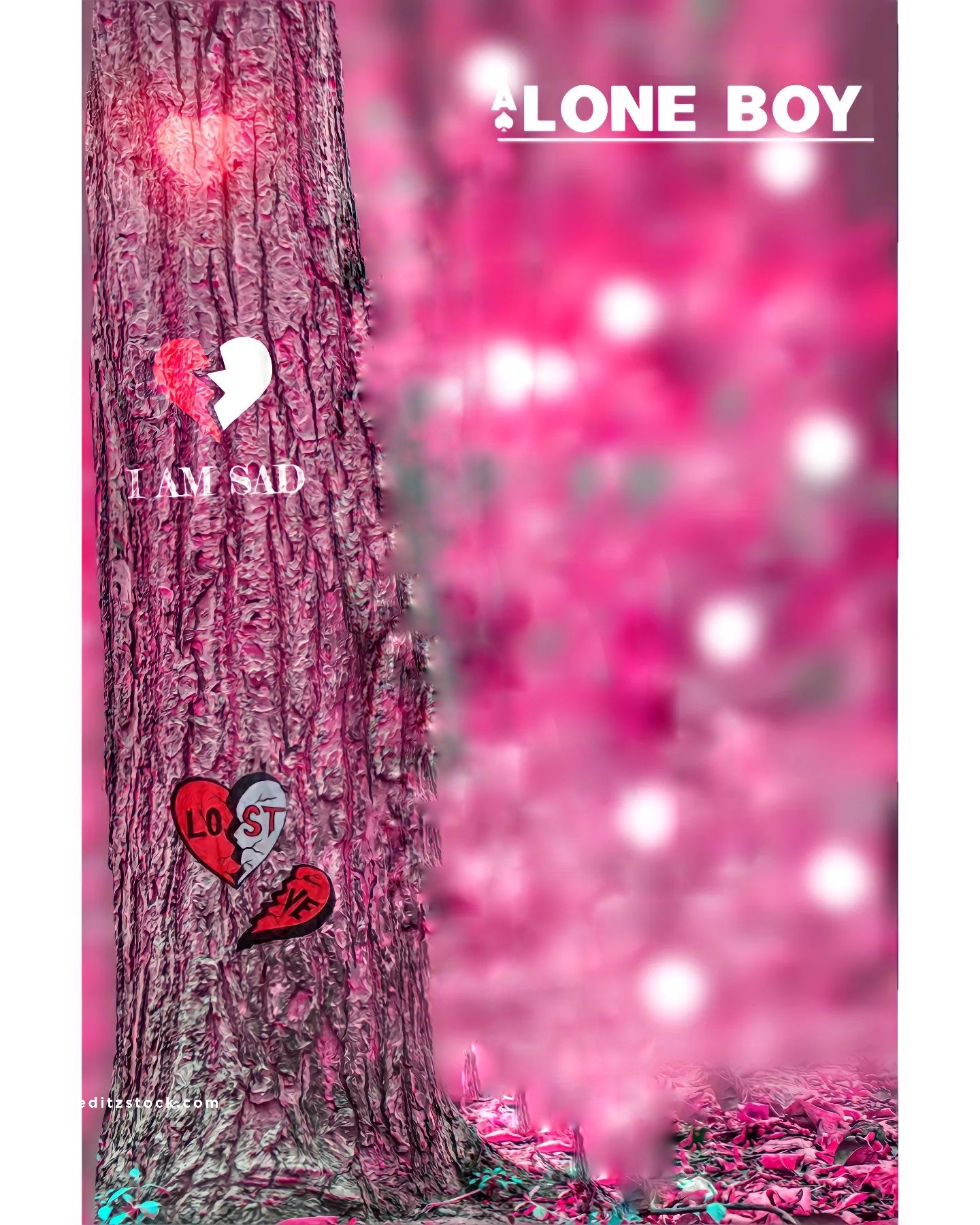 Alone Cb Photo Editing Background