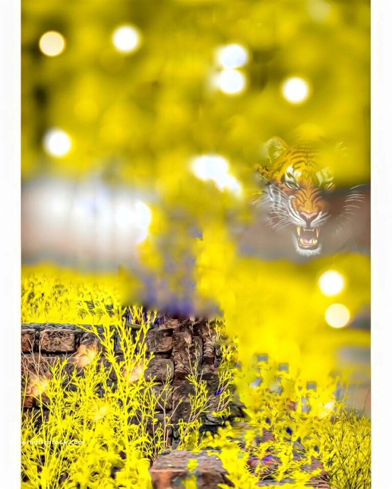 Yellow Cb Background