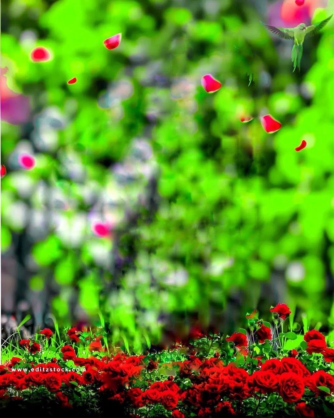 Hd Cb Photo Editing Background