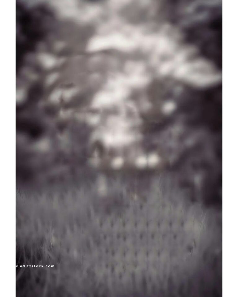 Instagram cb editing background