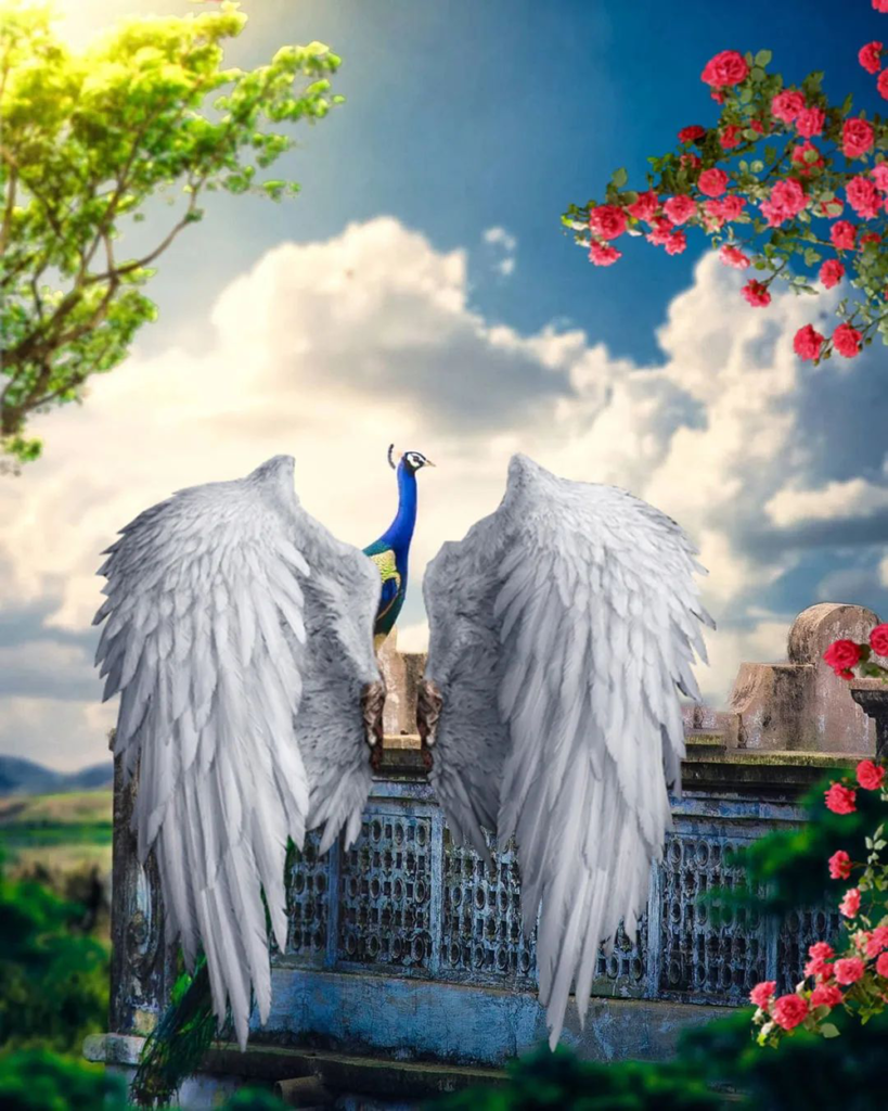 Wing manipulation editing background hd