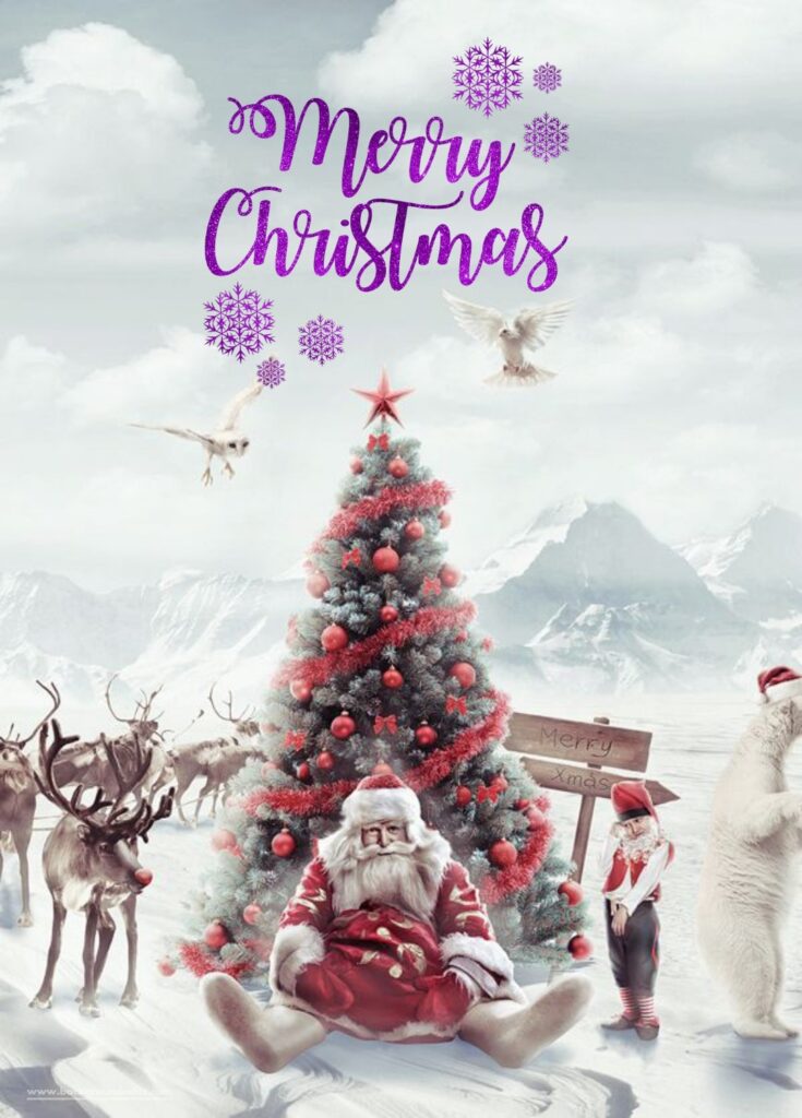 Winter christmas editing background