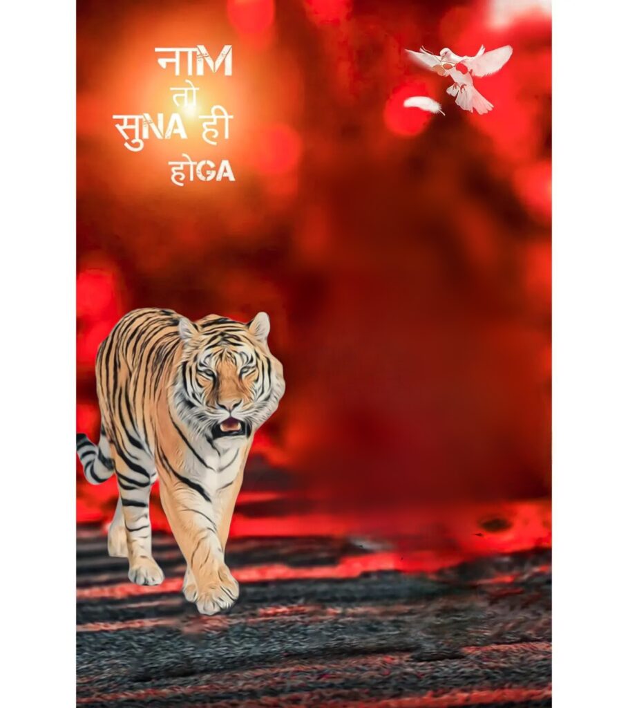 Tiger cb background editor