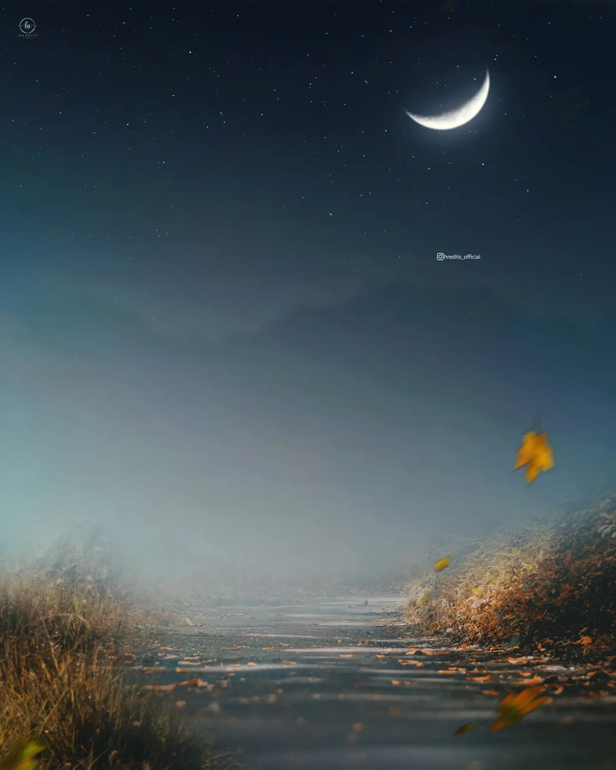 Night moon editing background