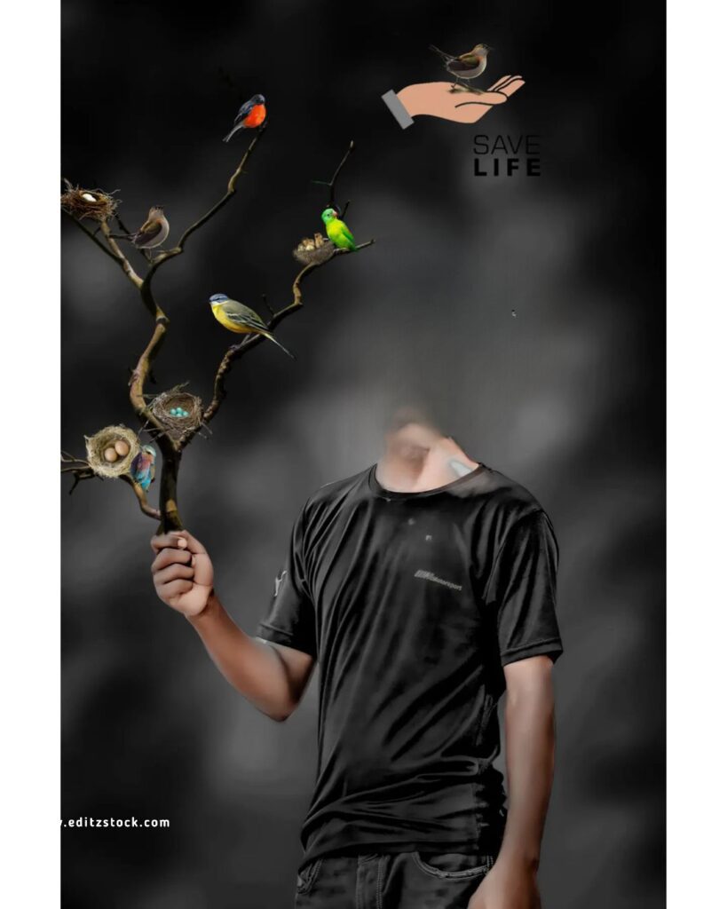 Birds editing cb background