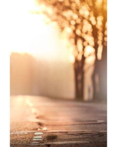Golden Hour Free Background Images