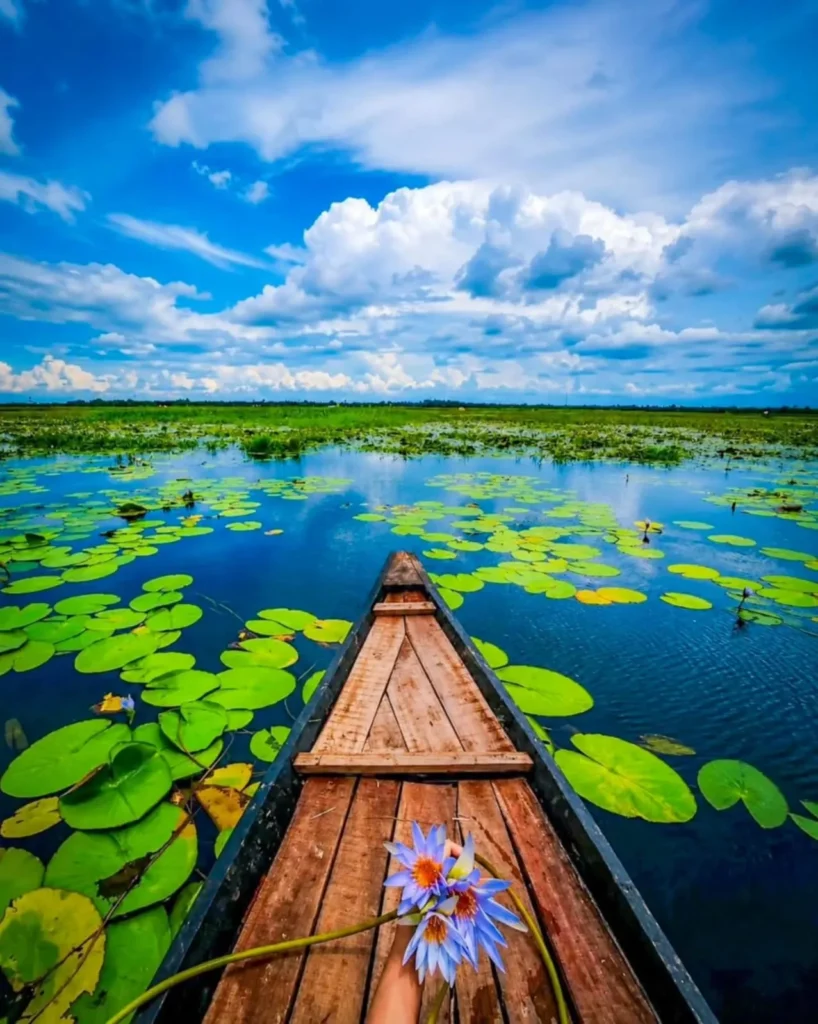 Aesthetic Boat Ai Photo Editing Prompt Background